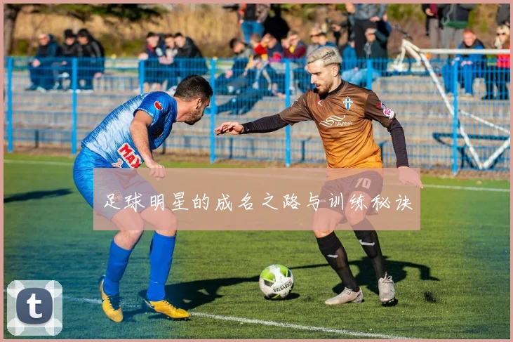 足球明星的成名之路与训练秘诀