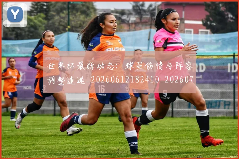 世界杯最新动态：球星伤情与阵容调整速递_20260612182410_20260702174139